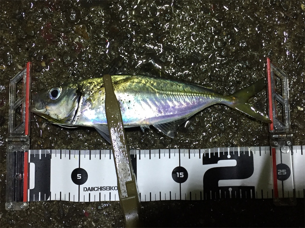 f:id:esojima3:20190307000109j:image