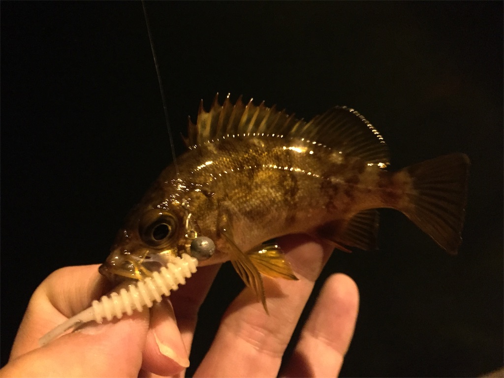f:id:esojima3:20190309091026j:image f:id:esojima3:20190309091026j:image