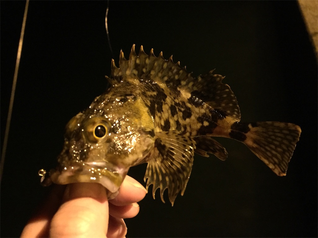 f:id:esojima3:20190309091034j:image f:id:esojima3:20190309091034j:image