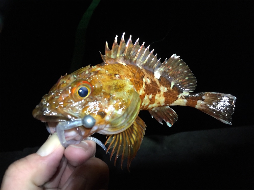 f:id:esojima3:20190310114827j:image