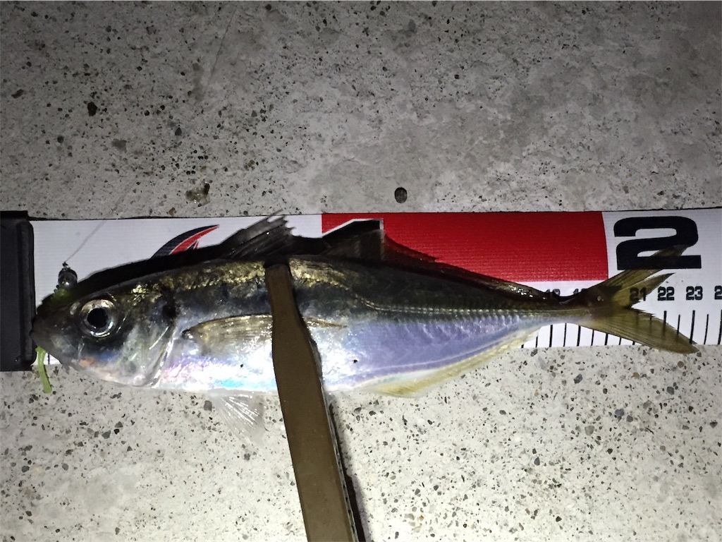 f:id:esojima3:20190312073123j:image