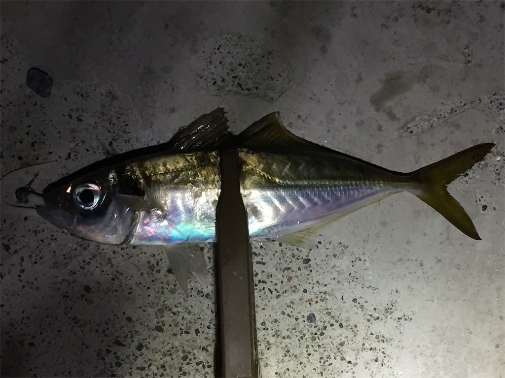 f:id:esojima3:20190312073200j:image