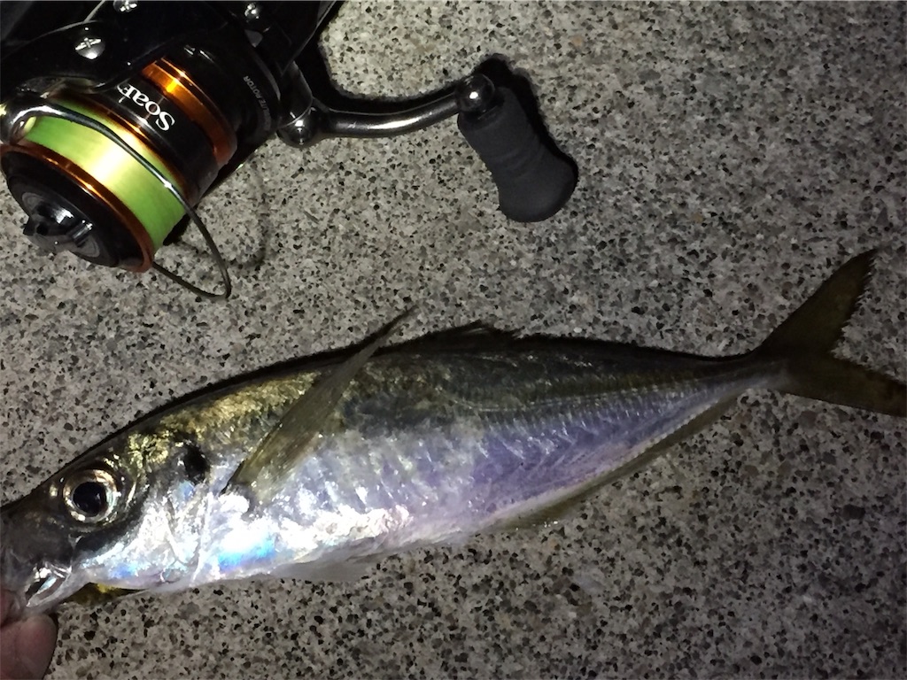 f:id:esojima3:20190312073205j:image