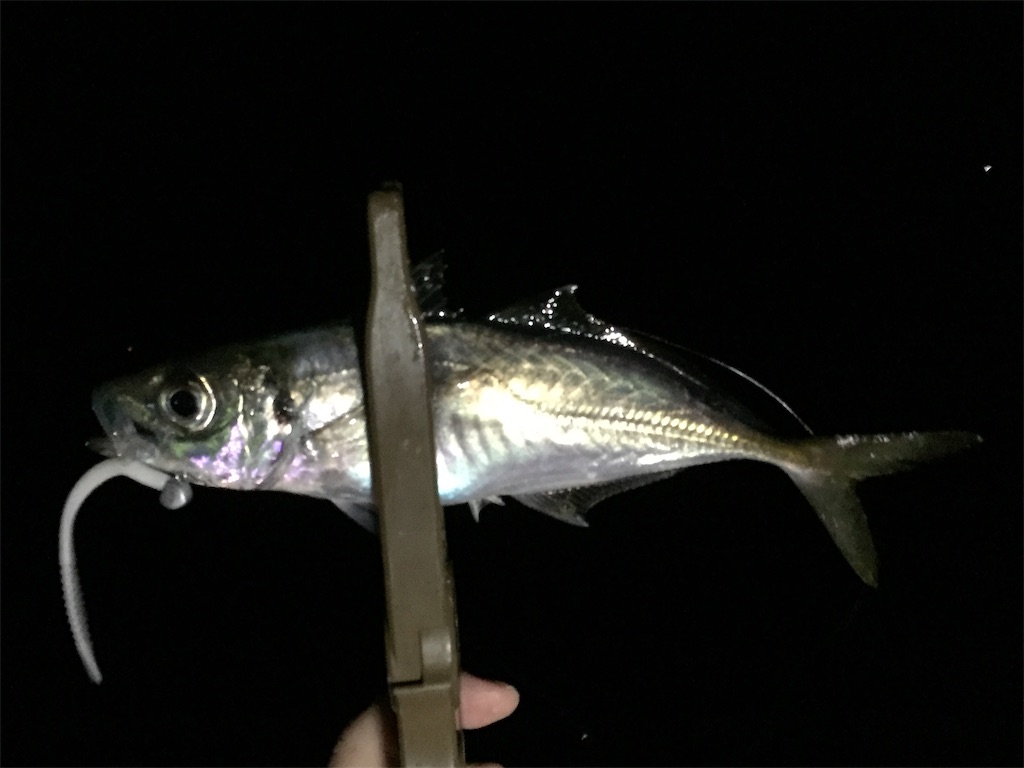 f:id:esojima3:20190312073209j:image
