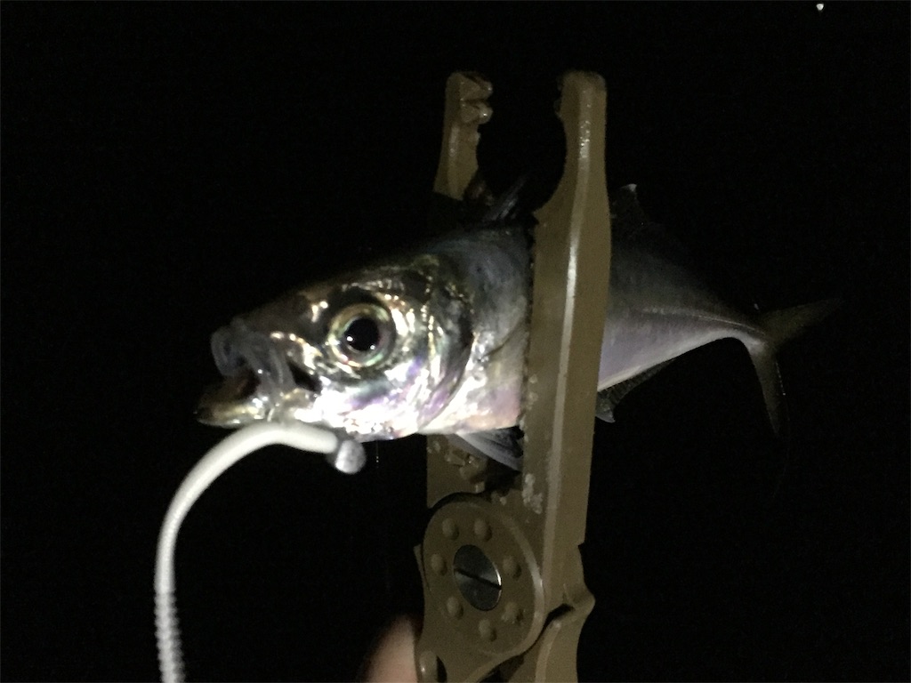 f:id:esojima3:20190312073214j:image
