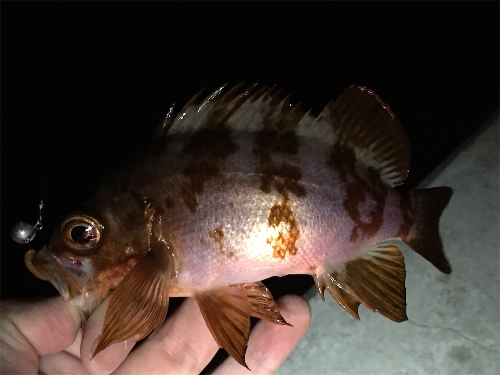 f:id:esojima3:20190312232614j:image f:id:esojima3:20190312232614j:image