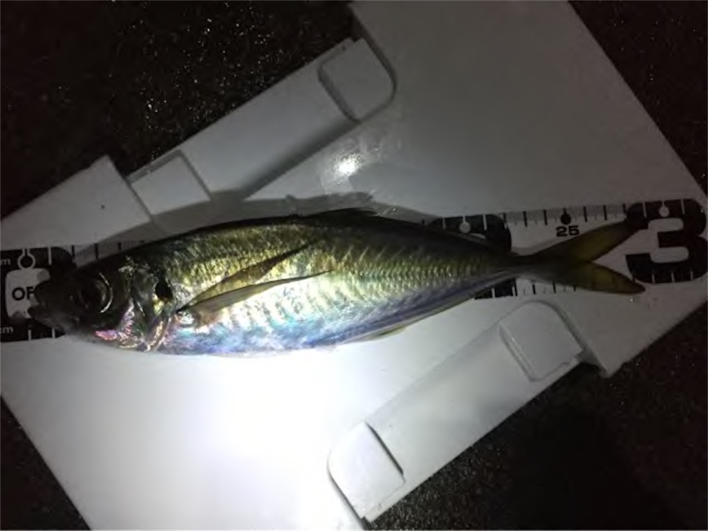 f:id:esojima3:20190313214813j:image