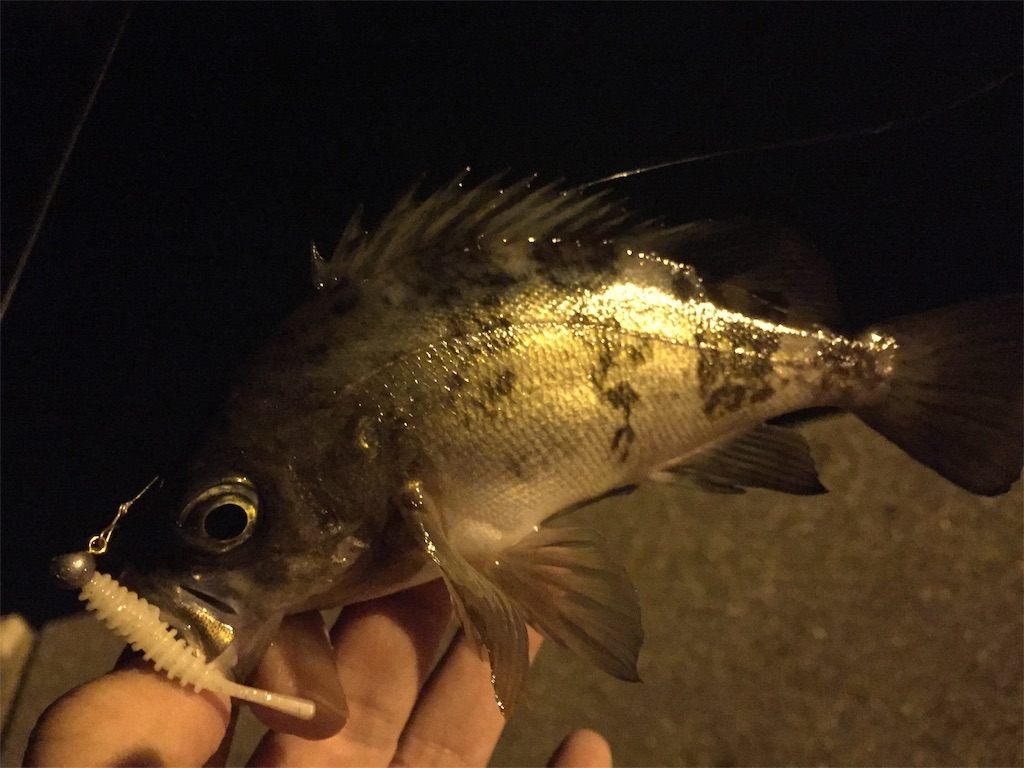 f:id:esojima3:20190316081717j:image
