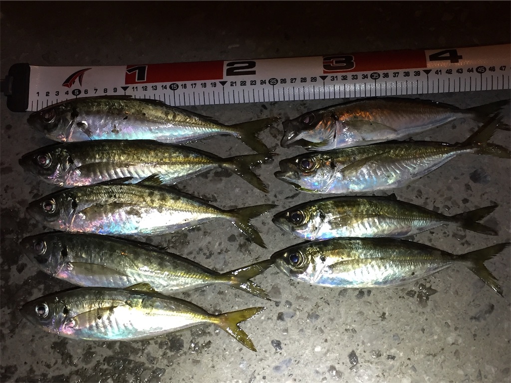 f:id:esojima3:20190316112312j:image