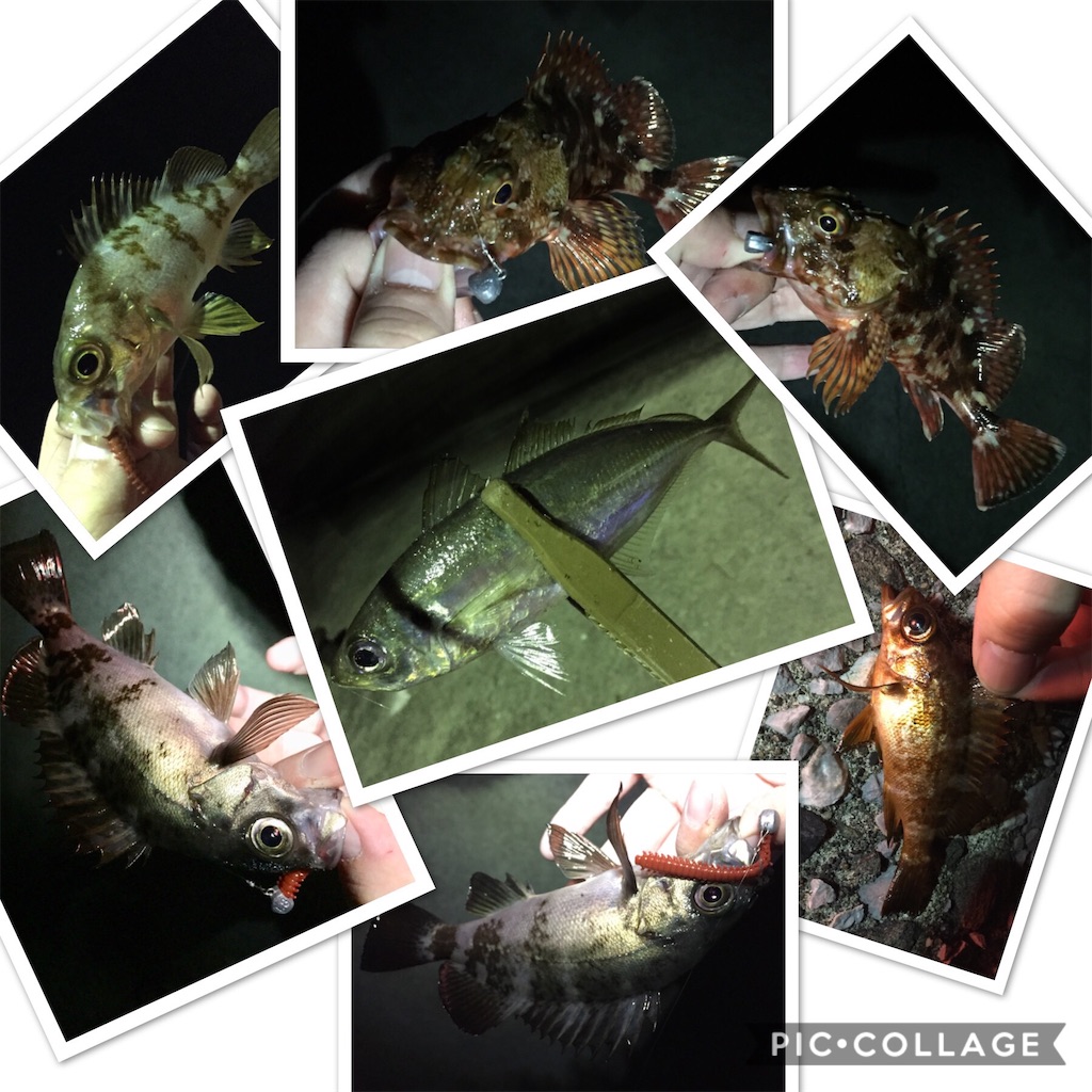 f:id:esojima3:20190318070631j:image
