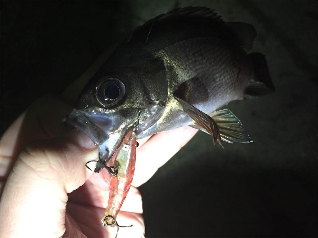 f:id:esojima3:20190320000626j:image
