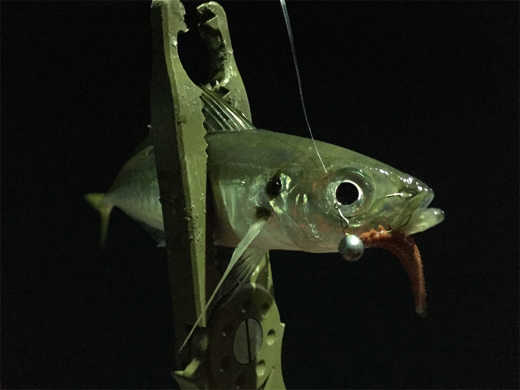 f:id:esojima3:20190320000642j:image