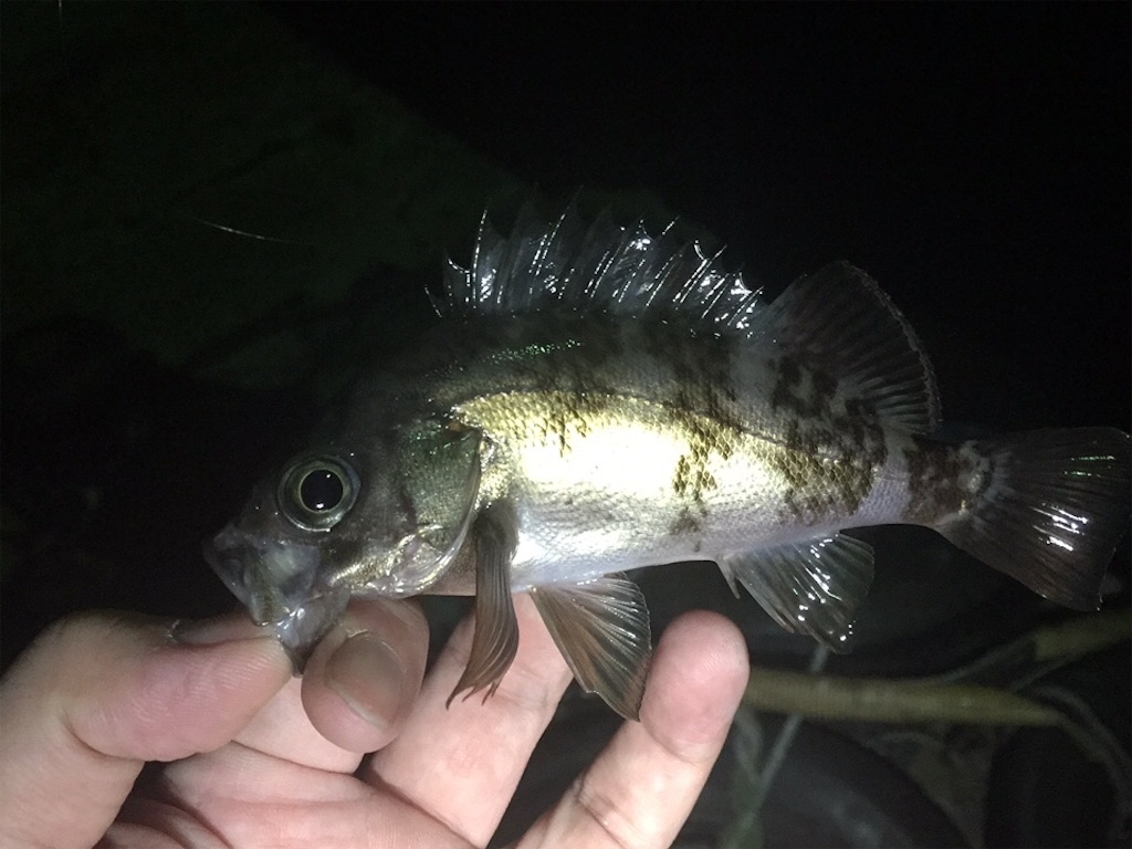 f:id:esojima3:20190320001620j:image