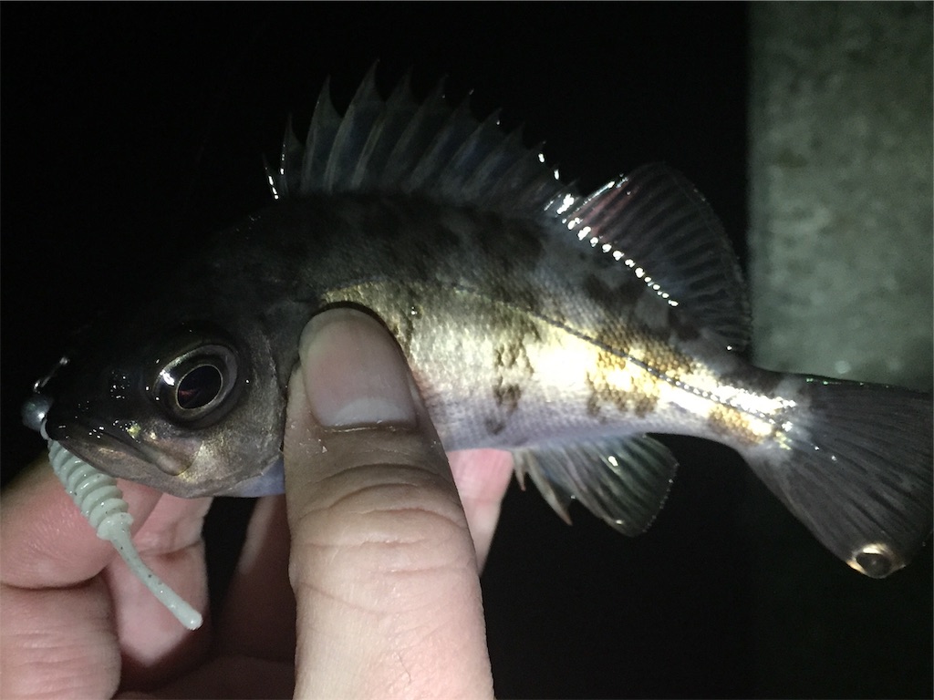 f:id:esojima3:20190320001743j:image
