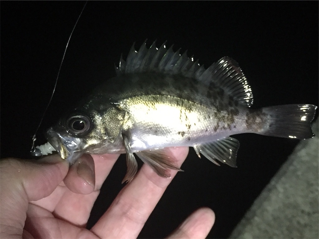 f:id:esojima3:20190320001752j:image