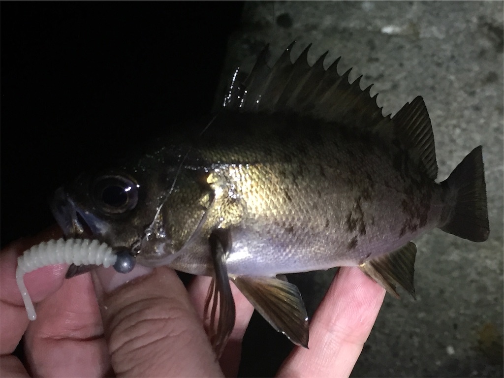 f:id:esojima3:20190320001757j:image