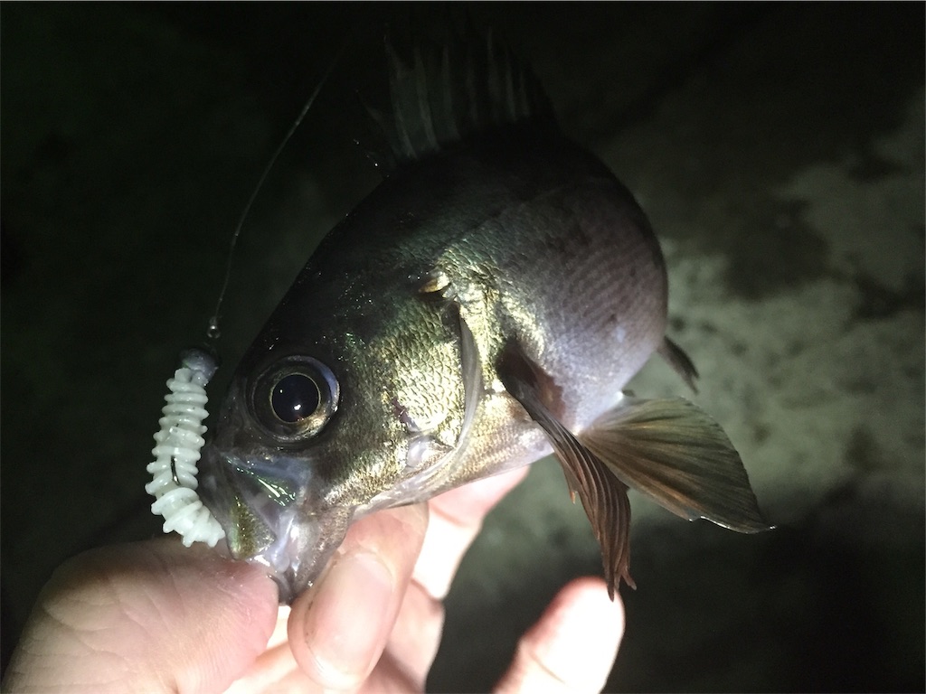 f:id:esojima3:20190320001801j:image