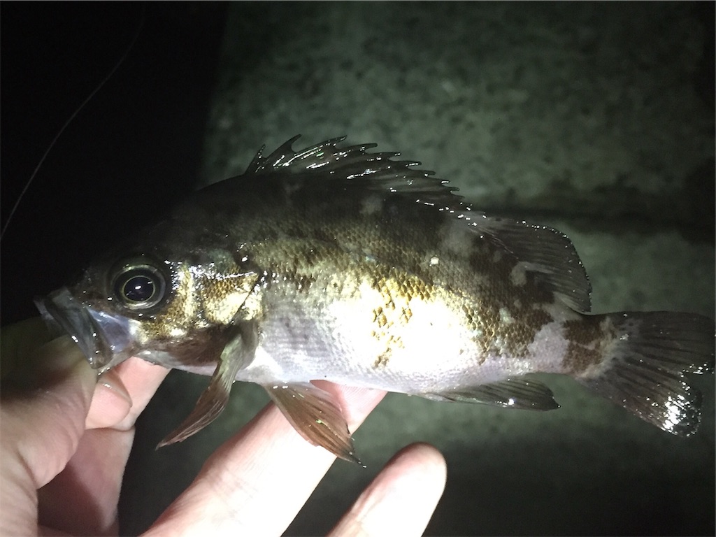 f:id:esojima3:20190320001807j:image