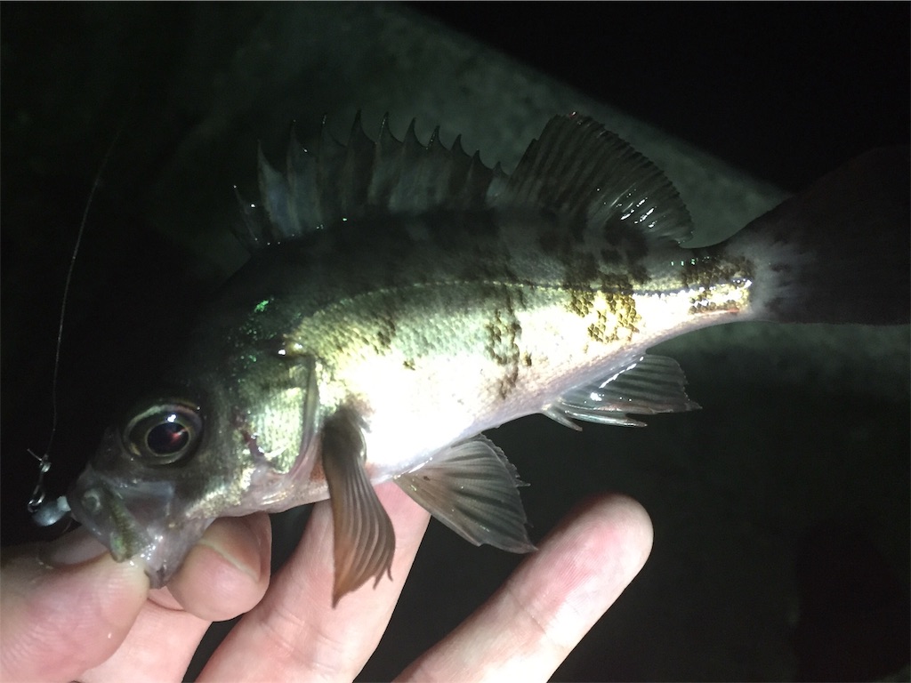 f:id:esojima3:20190320001811j:image