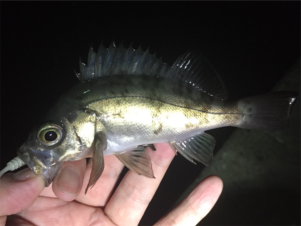f:id:esojima3:20190320001815j:image