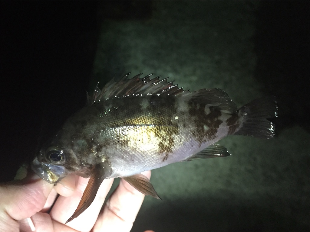 f:id:esojima3:20190320001819j:image
