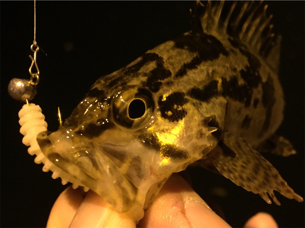f:id:esojima3:20190322225806j:image