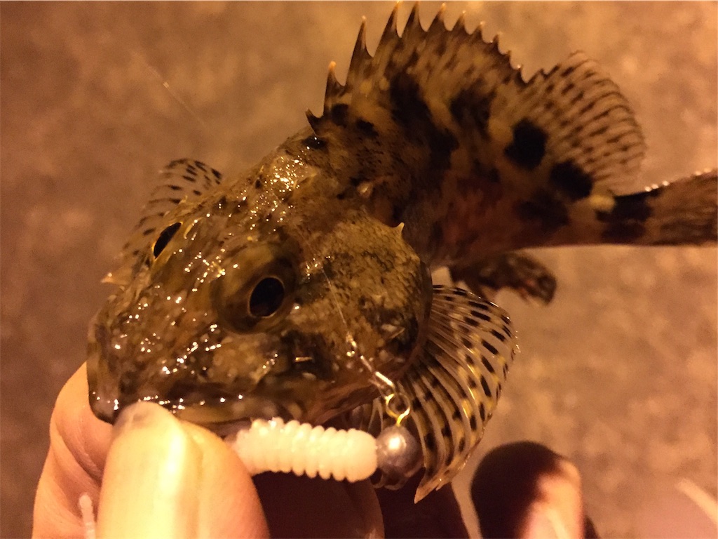 f:id:esojima3:20190322225830j:image