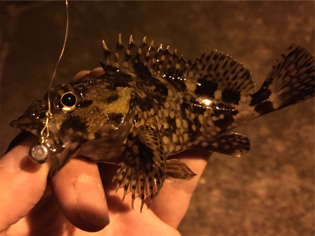 f:id:esojima3:20190322225835j:image