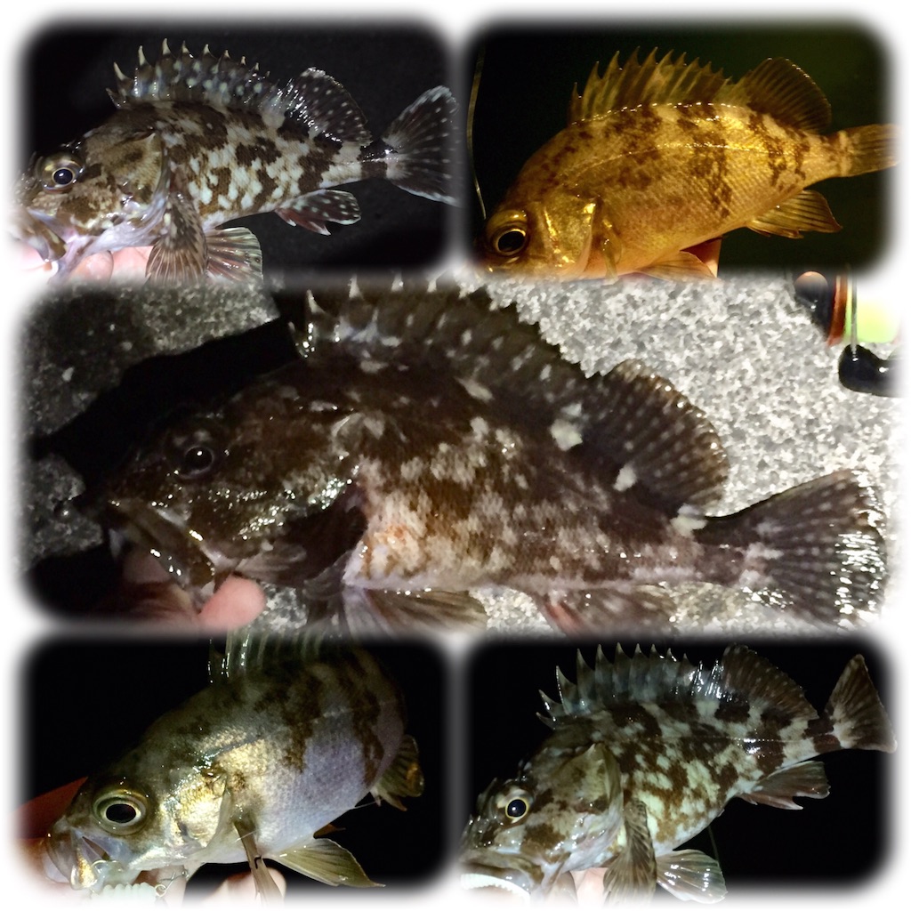 f:id:esojima3:20190327190716j:image