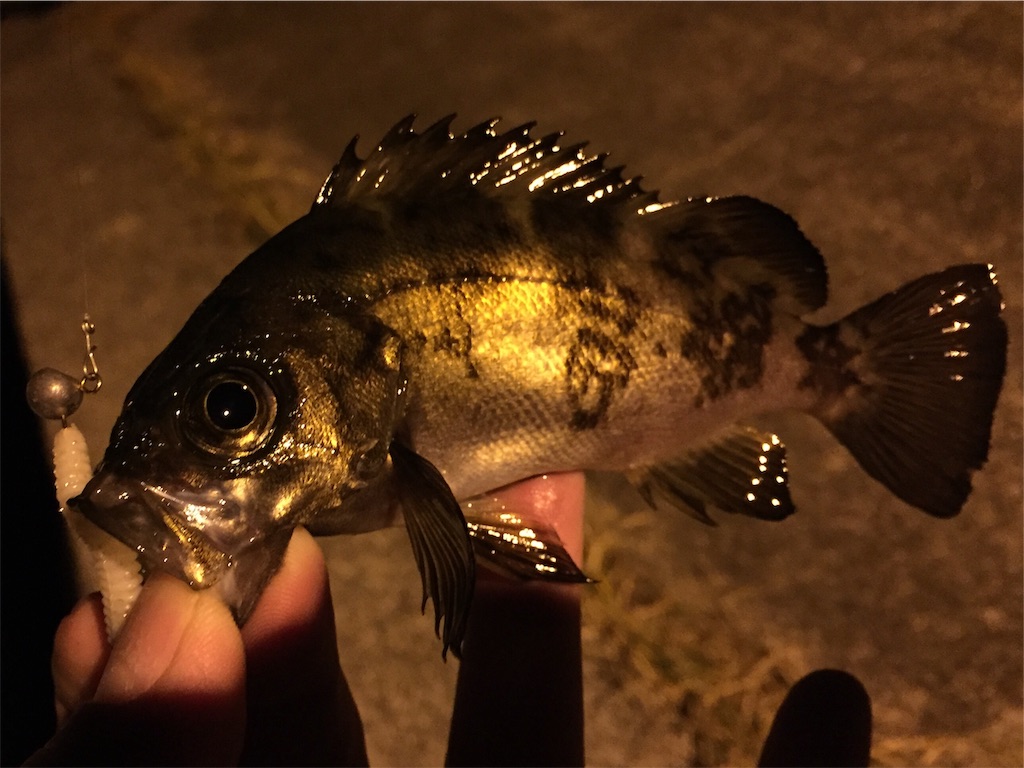 f:id:esojima3:20190330164052j:image