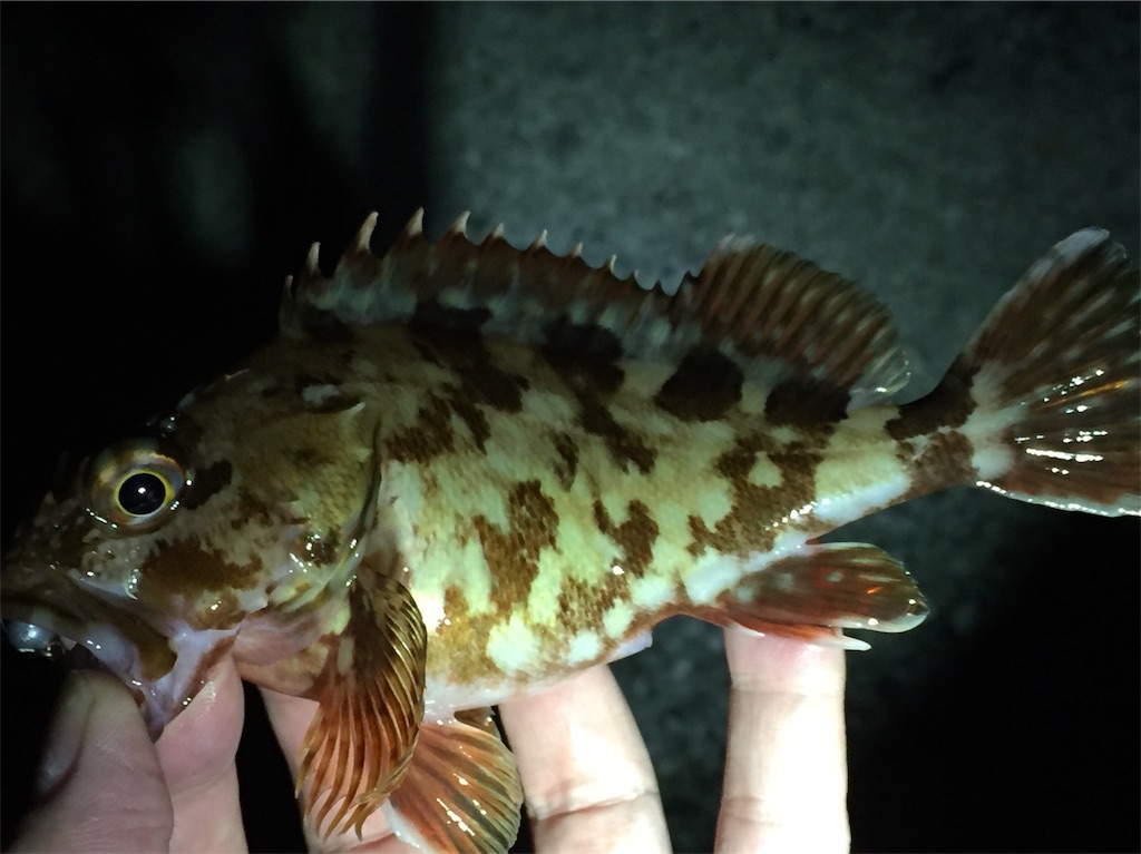 f:id:esojima3:20190330164056j:image
