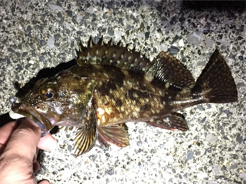 f:id:esojima3:20190330164100j:image