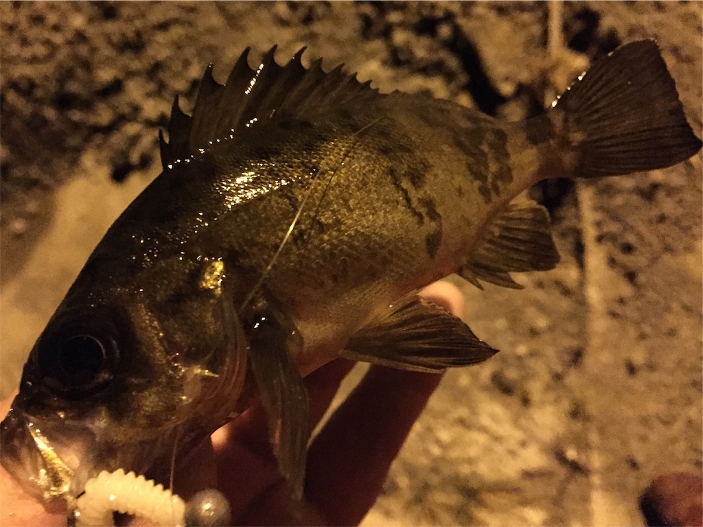 f:id:esojima3:20190330164452j:image
