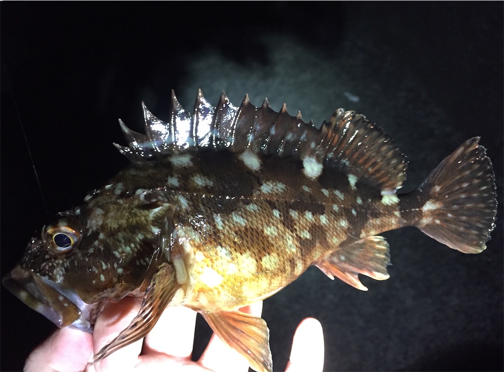 f:id:esojima3:20190330164746j:image