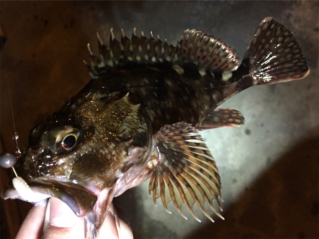 f:id:esojima3:20190330164753j:image