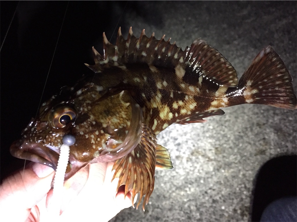f:id:esojima3:20190330164759j:image