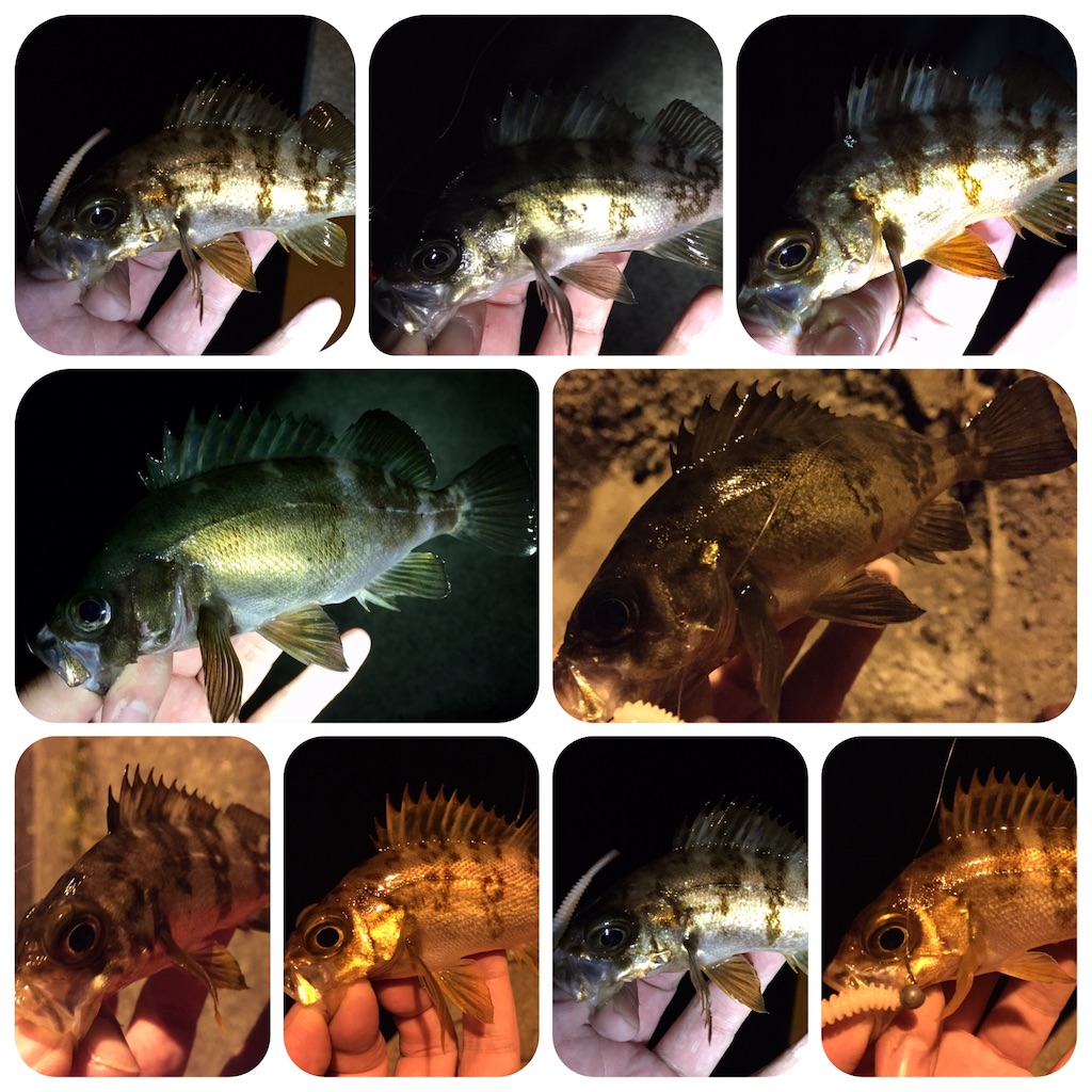 f:id:esojima3:20190330164942j:image