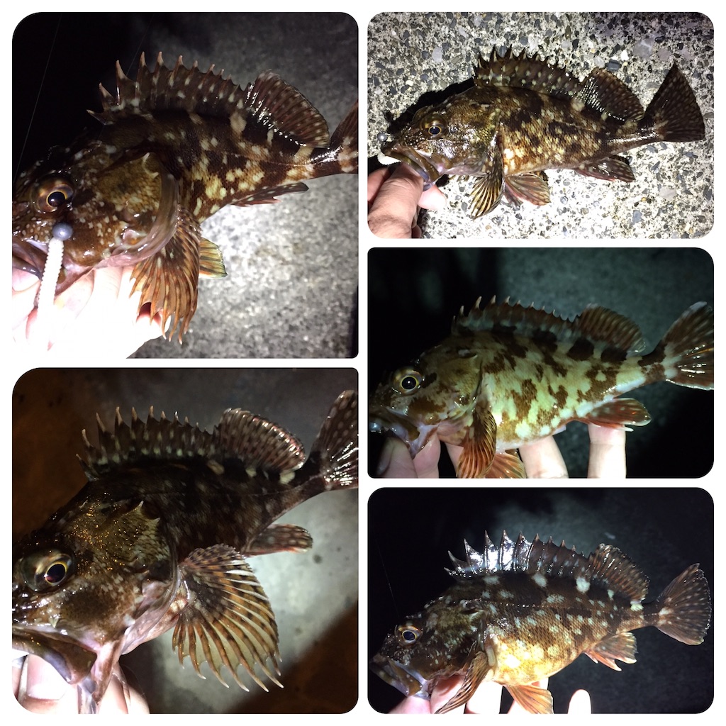f:id:esojima3:20190330164950j:image