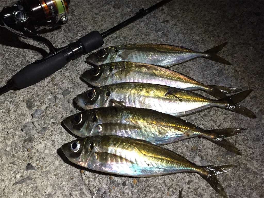 f:id:esojima3:20190331123612j:image f:id:esojima3:20190331123612j:image