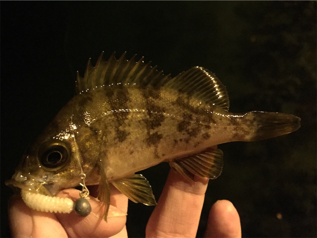 f:id:esojima3:20190402082259j:image