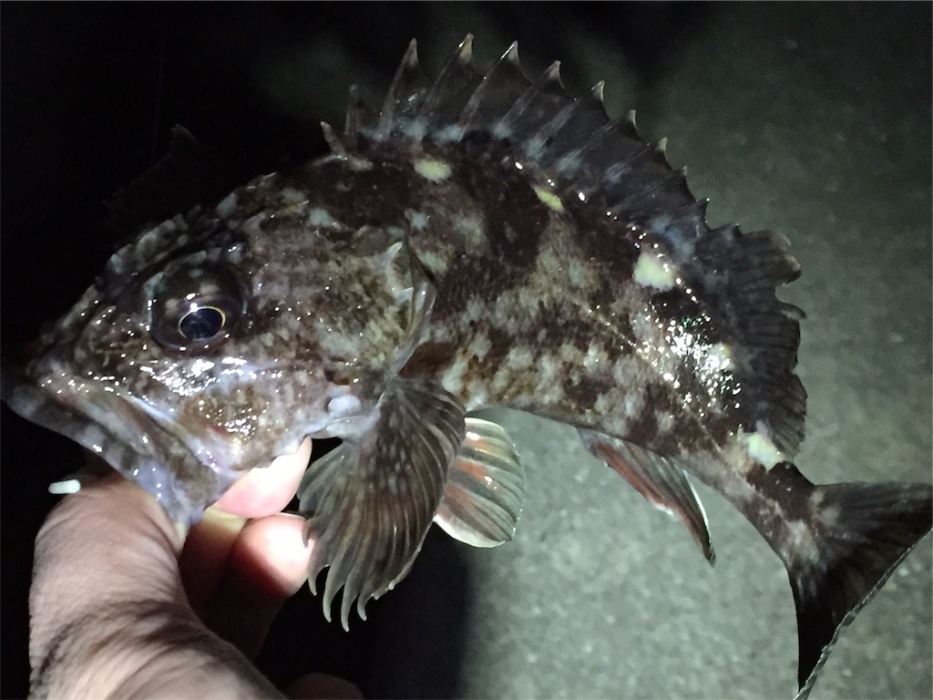 f:id:esojima3:20190402082443j:image