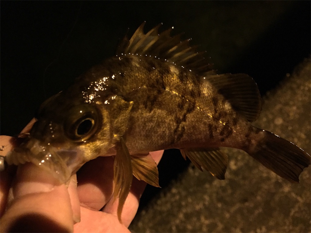 f:id:esojima3:20190402082658j:image