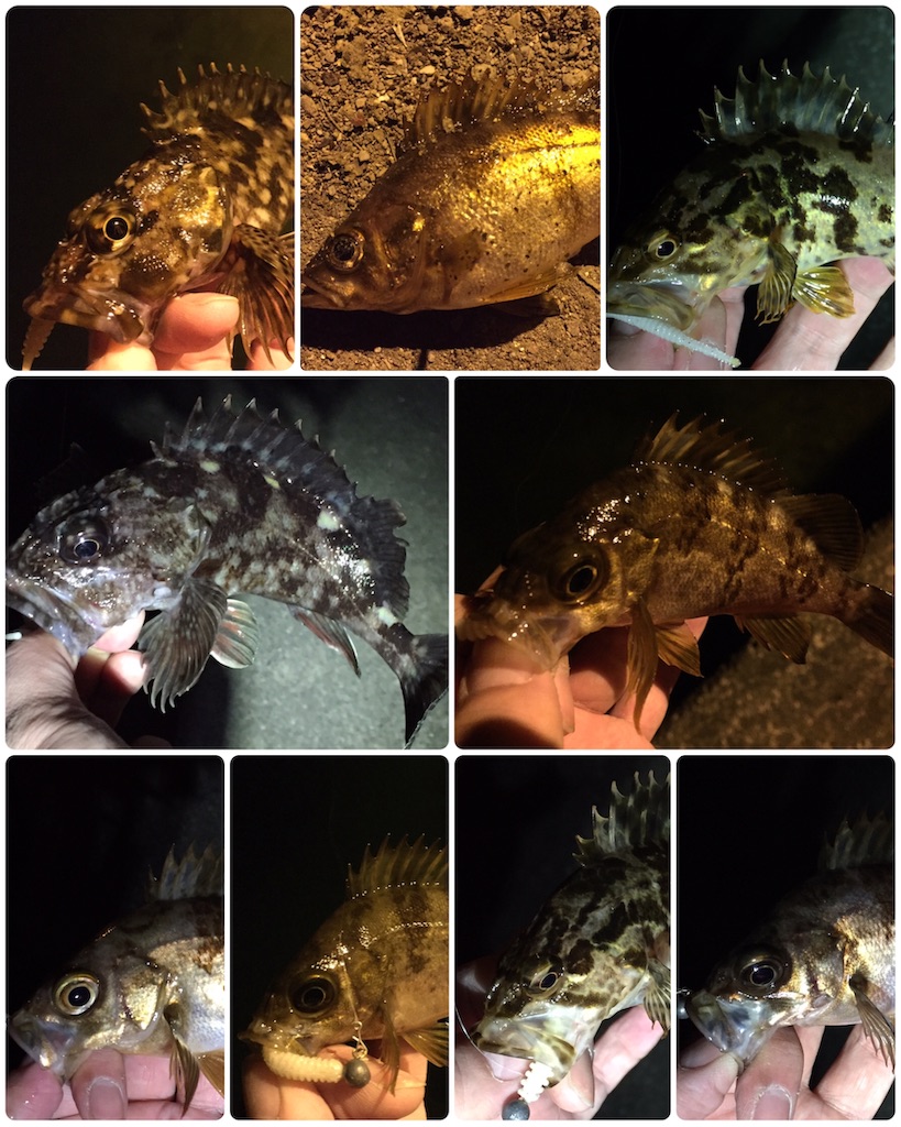 f:id:esojima3:20190402083233j:image