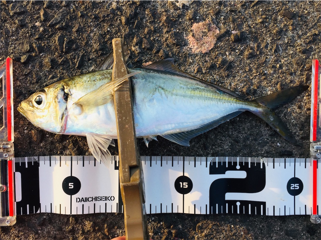 f:id:esojima3:20190403182534j:image f:id:esojima3:20190403182534j:image