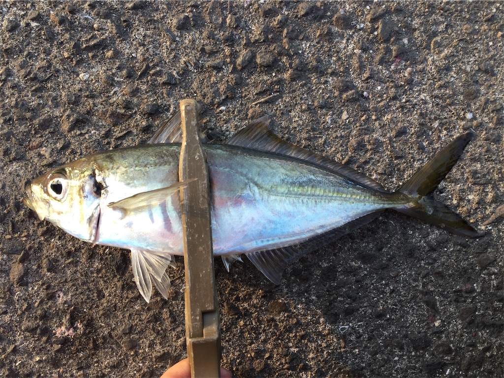 f:id:esojima3:20190403182557j:image f:id:esojima3:20190403182557j:image