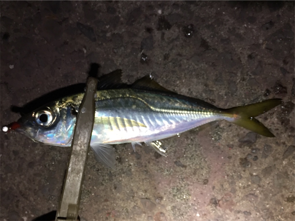 f:id:esojima3:20190403233946j:image