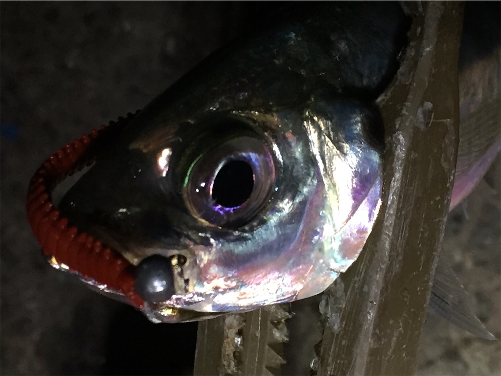 f:id:esojima3:20190403234029j:image