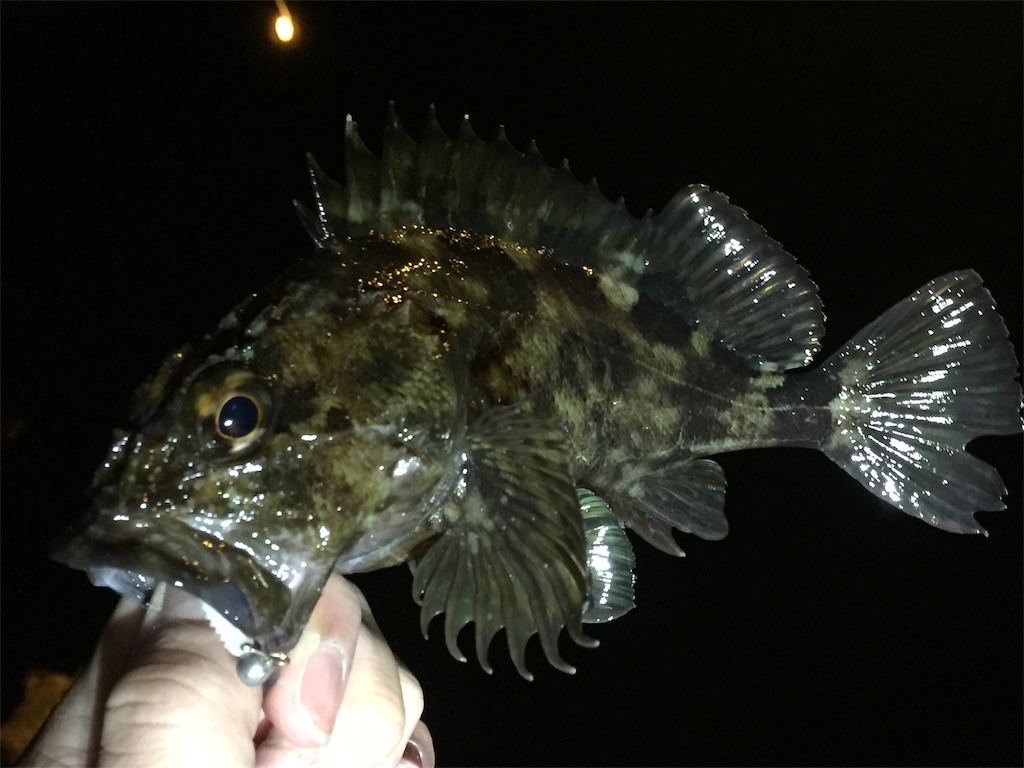 f:id:esojima3:20190403234928j:image