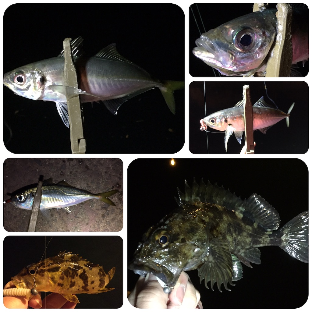 f:id:esojima3:20190403235607j:image