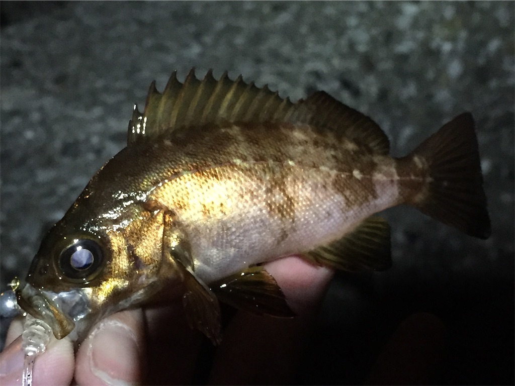 f:id:esojima3:20190405060202j:image f:id:esojima3:20190405060202j:image